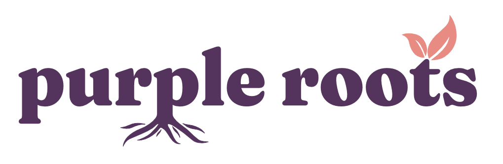 SD Virtual Solutions — web design and digital marketing for holistic wellness businesses
